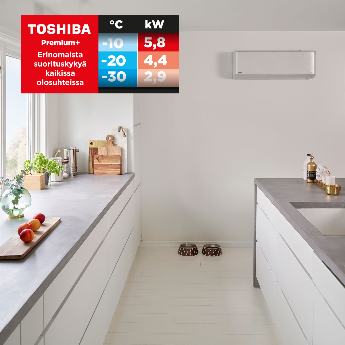 Toshiba-PremiumPlus_3_1200x1200.jpg