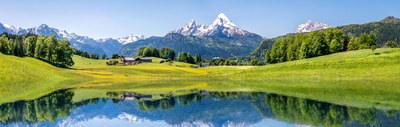 environment_alpine.jpg