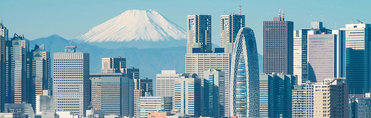 tokyo_fuji.jpg